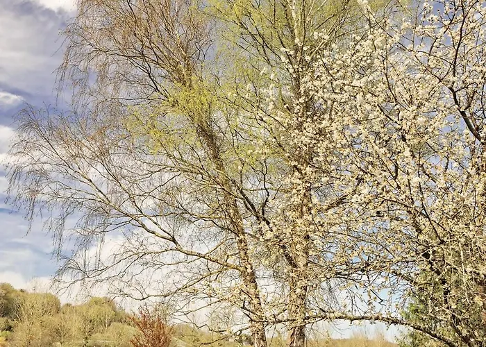 Nyaraló De Charme Le Clos De La Pionniere *